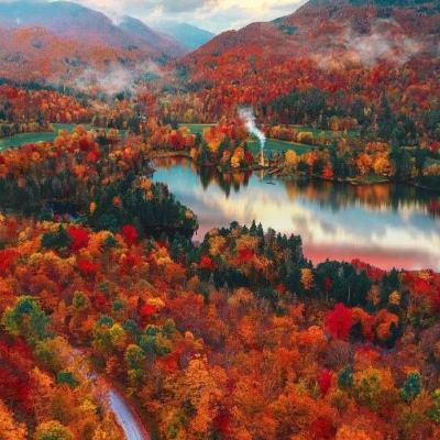 开云网kaiyunapp下载