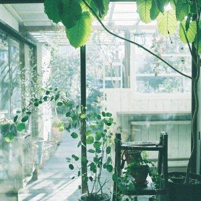 ag旗舰厅客户端下载截图