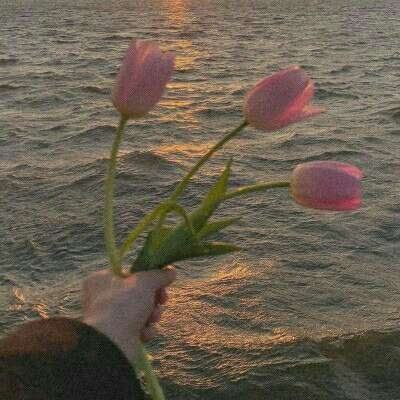 im电竞官网app下载