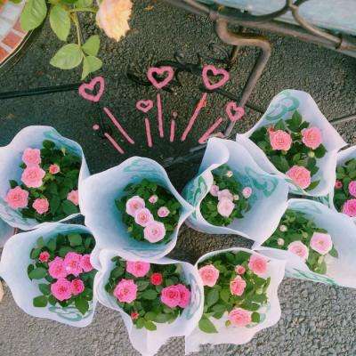 im电竞官网app下载截图